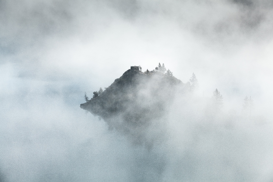 árbol montaña nube cielo