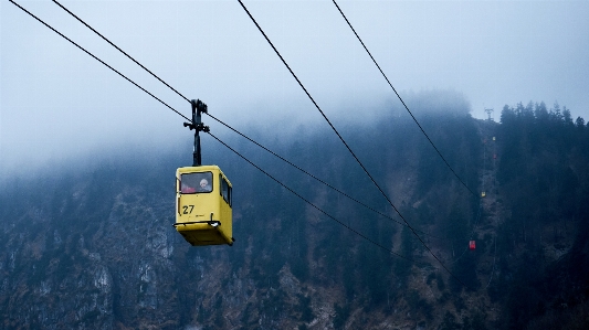 Tree mountain fog range Photo