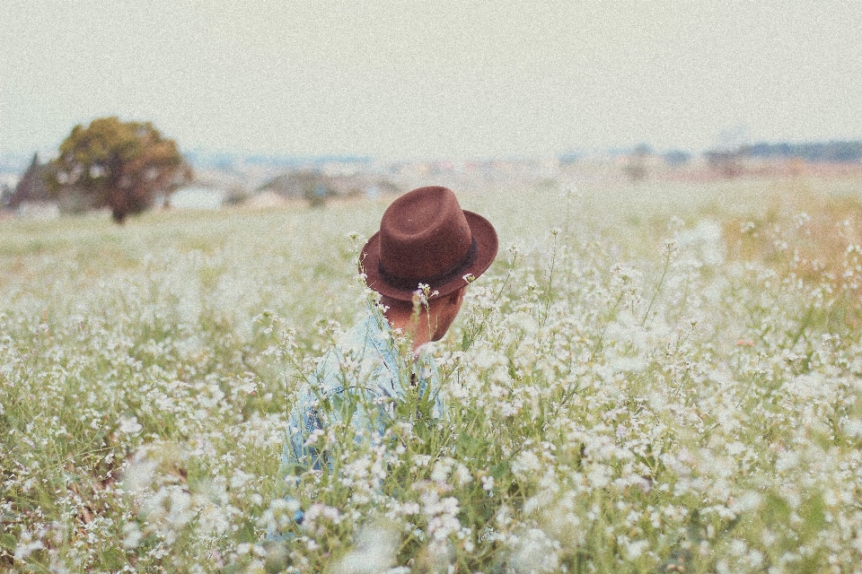 Man field meadow flower