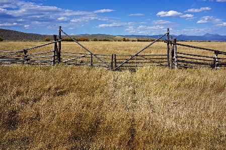 Landscape grass marsh fence Photo