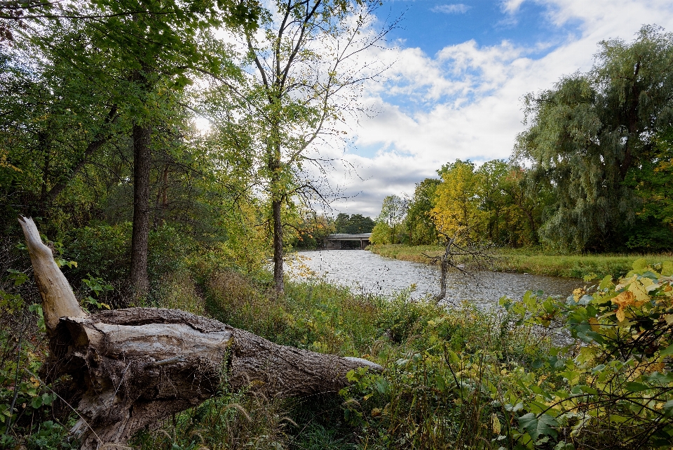 Landschaft baum wasser natur