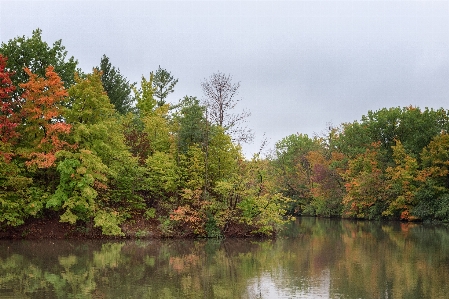 Landscape tree water nature Photo