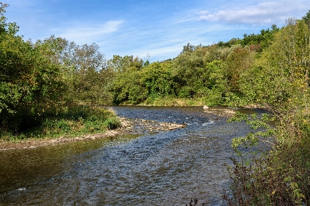 Foto Air sungai kecil
 gurun
 jejak