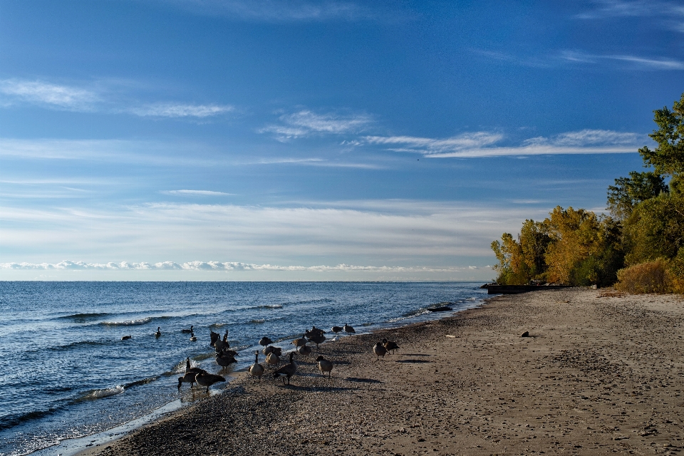 Beach sea coast water