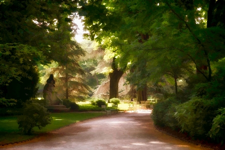 Tree nature forest path Photo