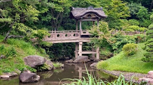 Pond jungle machinery garden Photo