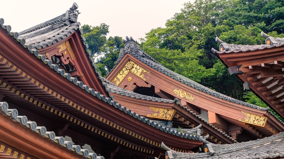 建物 城 日本 礼拝の場
