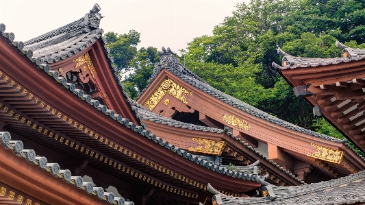 建物 城 日本 礼拝の場
 写真