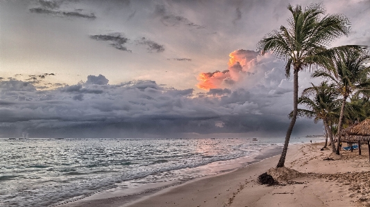 Beach landscape sea coast Photo