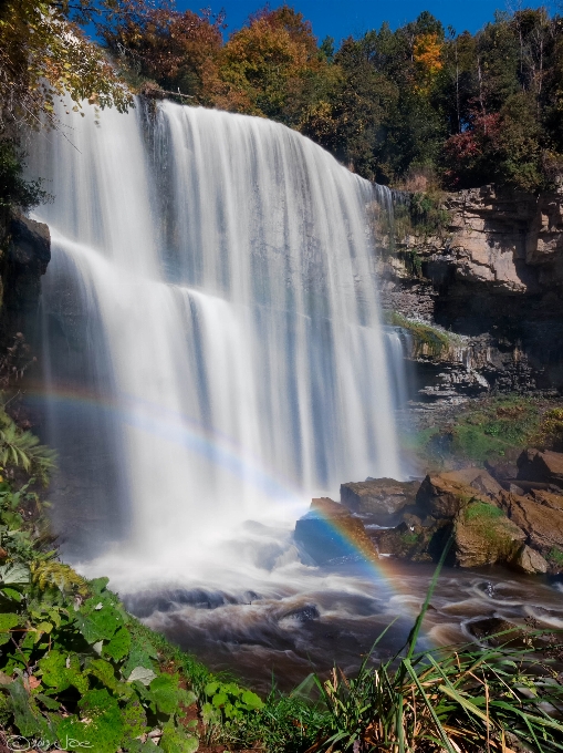 Paysage eau nature cascade