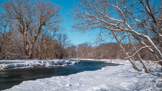 Landscape tree water nature Photo