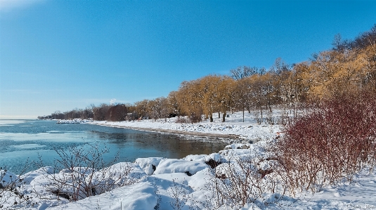 Landscape tree water nature Photo