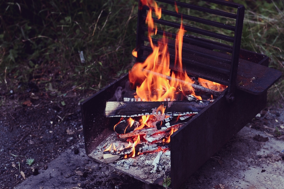 Alimento fuego ceniza
 hoguera