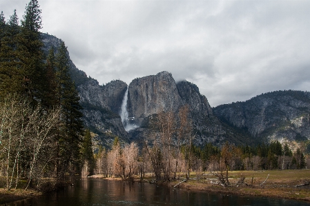 Landscape tree water nature Photo