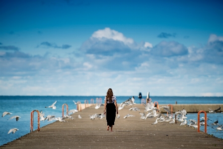 Beach sea coast water Photo