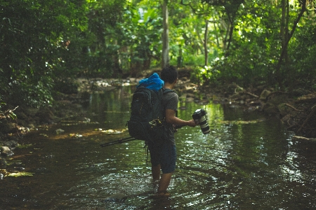 Hand man forest wilderness Photo