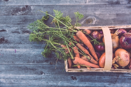 Flower food produce vegetable Photo