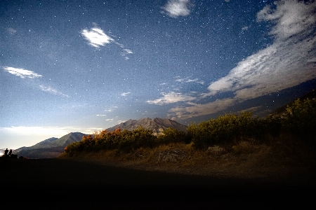 Landscape tree nature horizon Photo