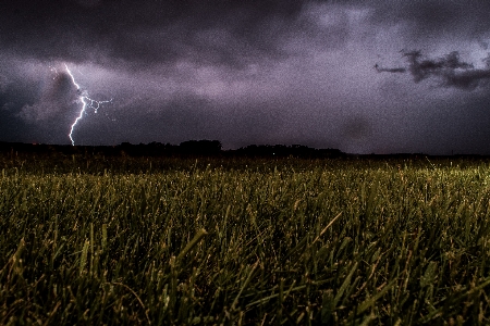 Zdjęcie Natura trawa światło chmura