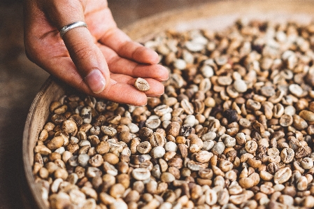 Hand ring bean food Photo