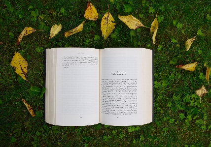 Nature book leaf reading Photo