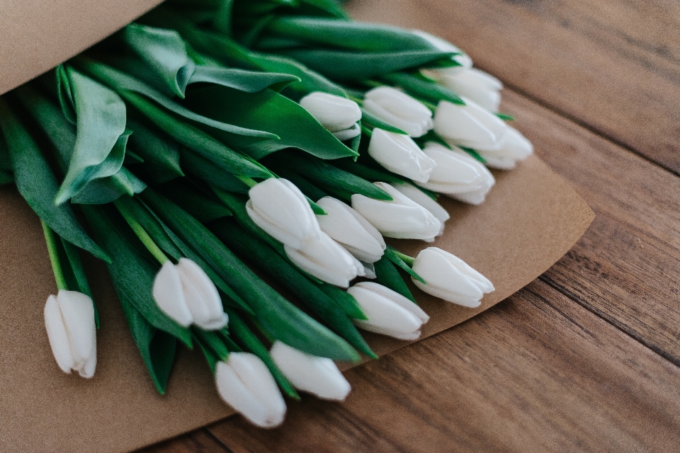 Mano blanco flor pétalo