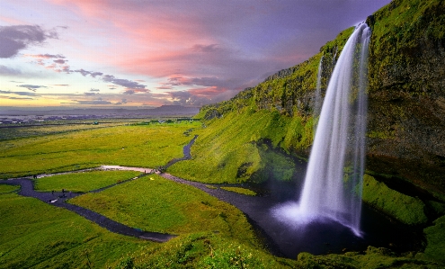 Foto Paesaggio natura erba cascata