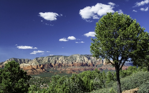 Landschaft baum natur wildnis
 Foto