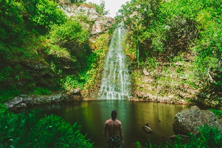 Man water forest rock Photo