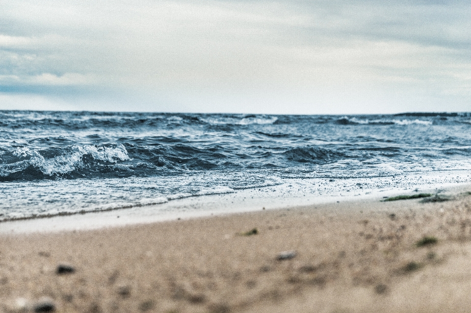 Plaża morze wybrzeże woda