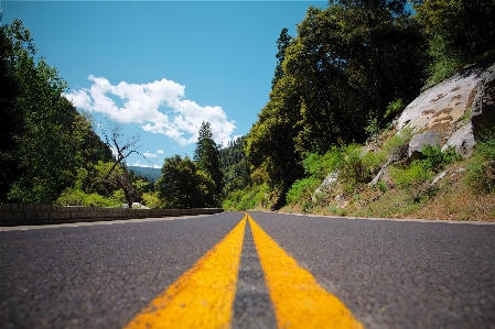 Landscape tree mountain road Photo