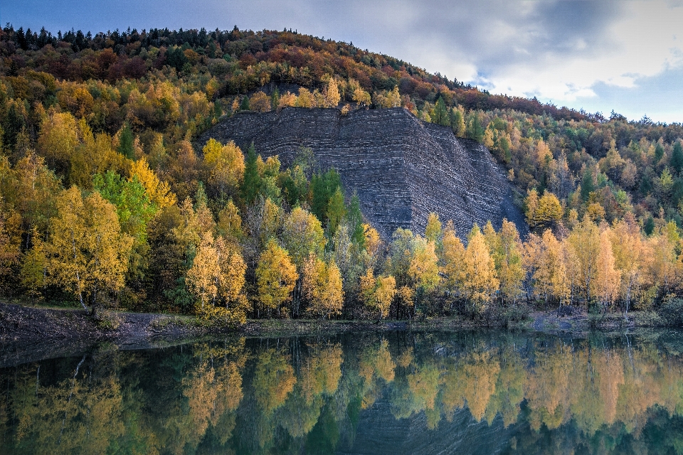 Krajobraz drzewo natura las