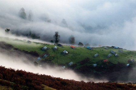 Landscape nature forest wilderness Photo