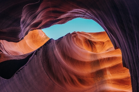 Rock sunset sunlight flower Photo