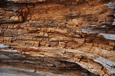 Rock wood trunk wall Photo