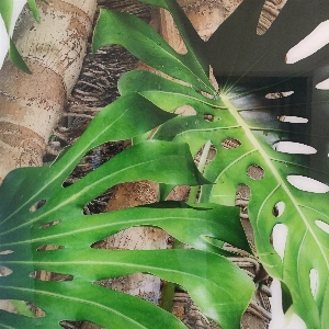 Foto árbol planta hoja flor