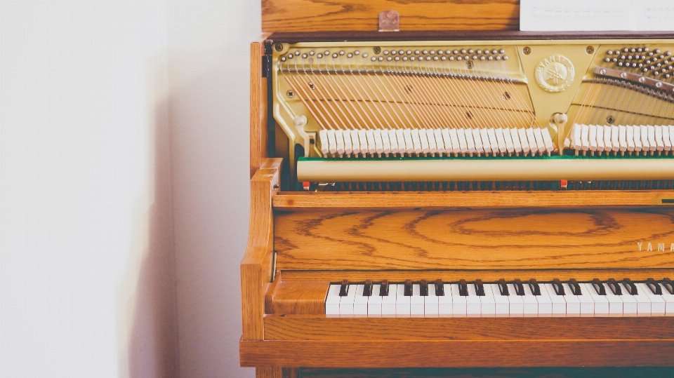 Instrument muzyczny fortepian pianino
 urządzenie elektroniczne
