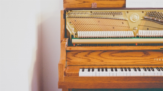 Foto Strumento musicale pianoforte il piano
 dispositivo elettronico
