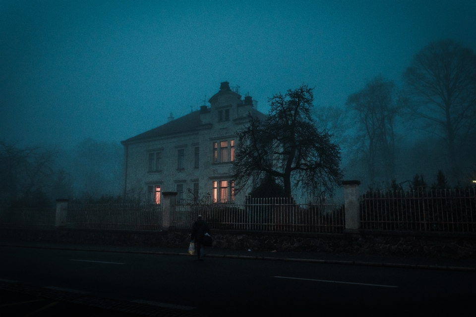 Luz cielo niebla neblina