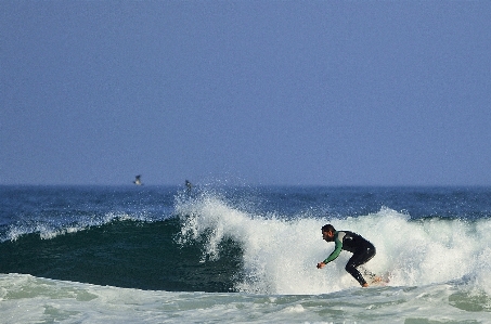 Sea wave surf surfing Photo