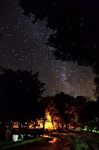 Light sky night star Photo