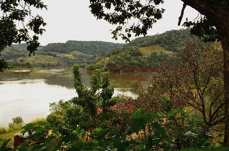 Landscape tree water nature Photo