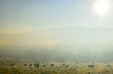 Landscape nature horizon mountain Photo