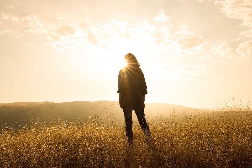 Nature herbe horizon silhouette