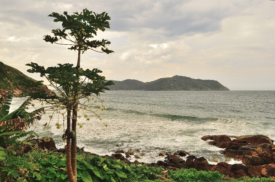 Beach landscape sea coast