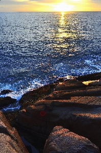 Beach sea coast water Photo