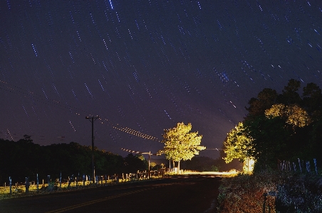 Tree light sky road Photo