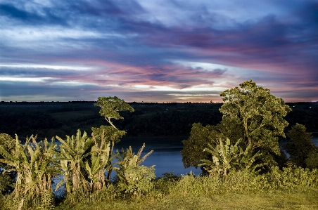 Landscape sea tree nature Photo