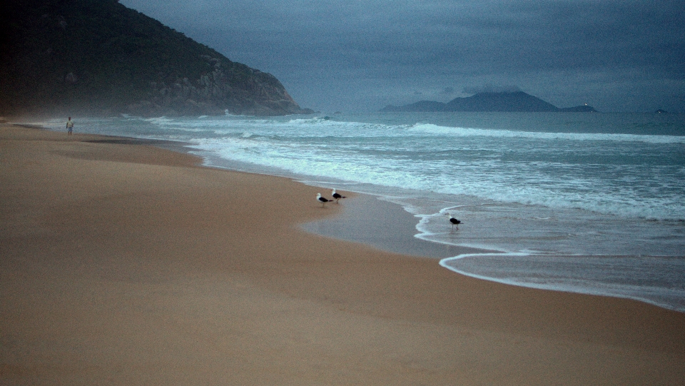 ビーチ 海 海岸 砂