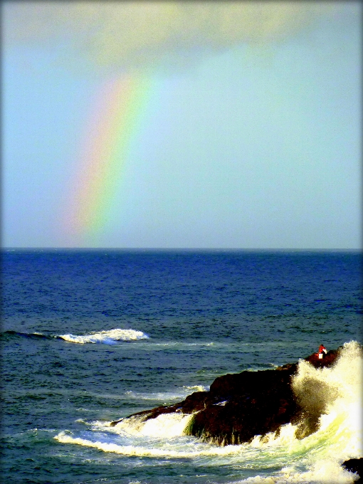 Playa mar costa océano